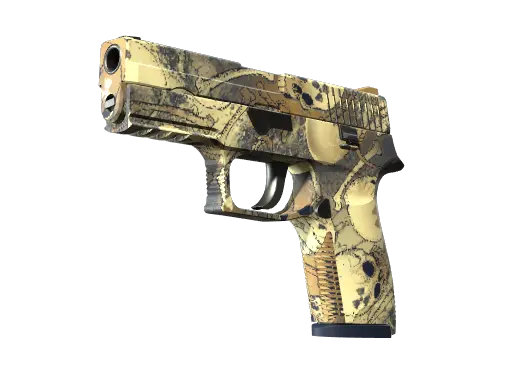 P250 | Contamination